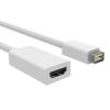 Mini DVI Male to HDMI Female Video Adapter Cable